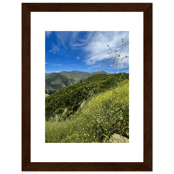 Framed Poster - Magical Malibu Canyon in Spring Bloom Wildflowers II – High - Quality Art Print - CaliCuration