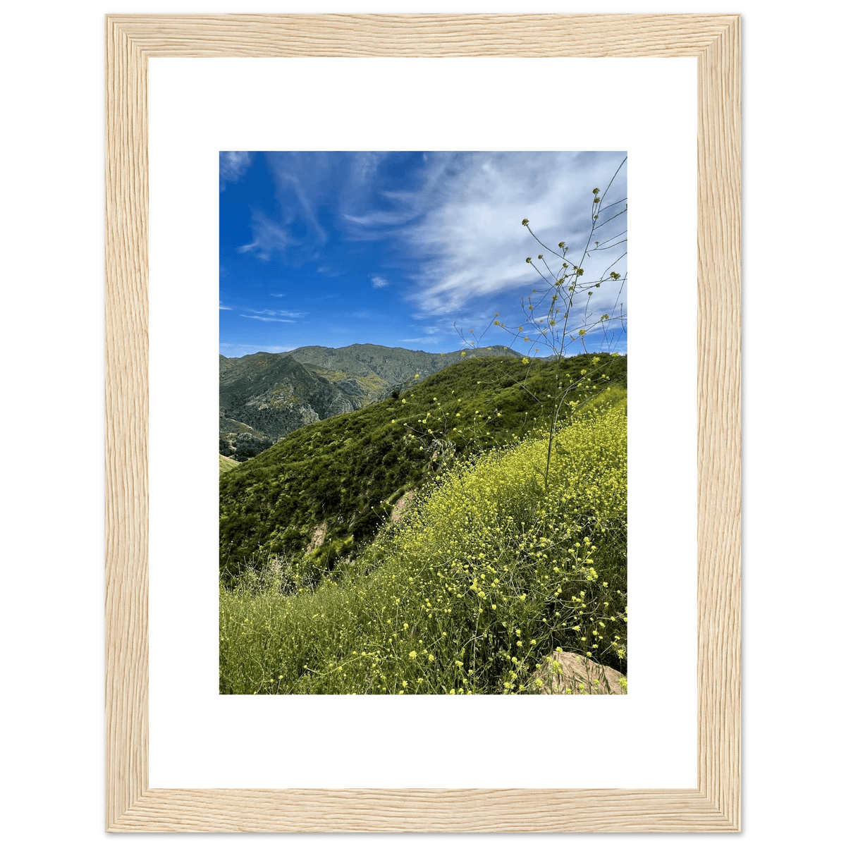 Framed Poster - Magical Malibu Canyon in Spring Bloom Wildflowers II – High - Quality Art Print - CaliCuration