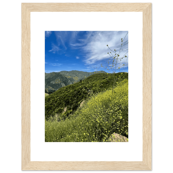 Framed Poster - Magical Malibu Canyon in Spring Bloom Wildflowers II – High - Quality Art Print - CaliCuration