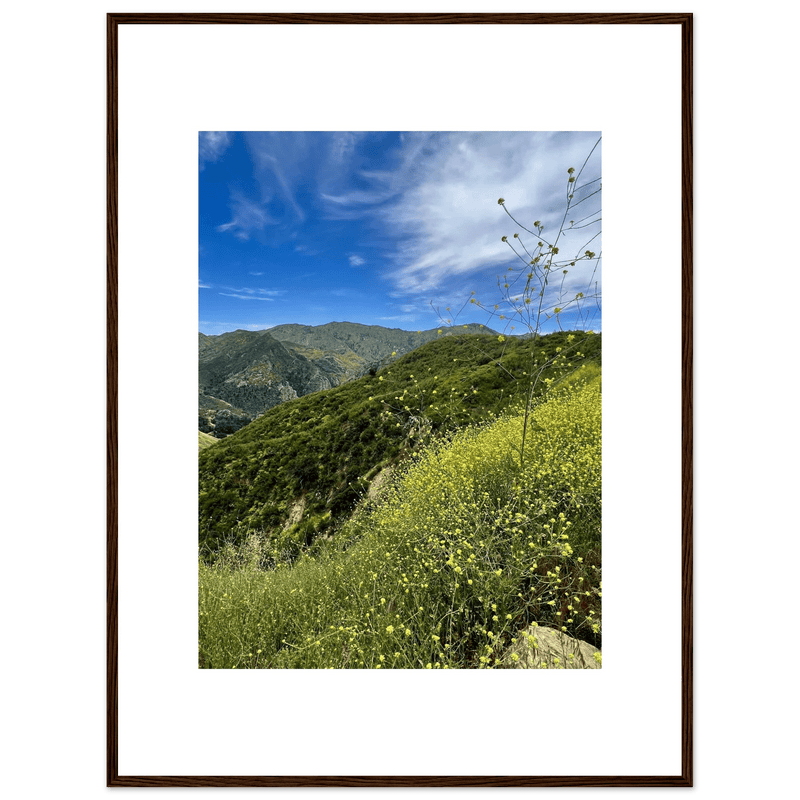 Framed Poster - Magical Malibu Canyon in Spring Bloom Wildflowers II – High - Quality Art Print - CaliCuration