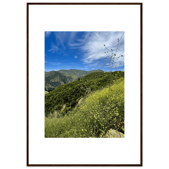 Framed Poster - Magical Malibu Canyon in Spring Bloom Wildflowers II – High - Quality Art Print - CaliCuration