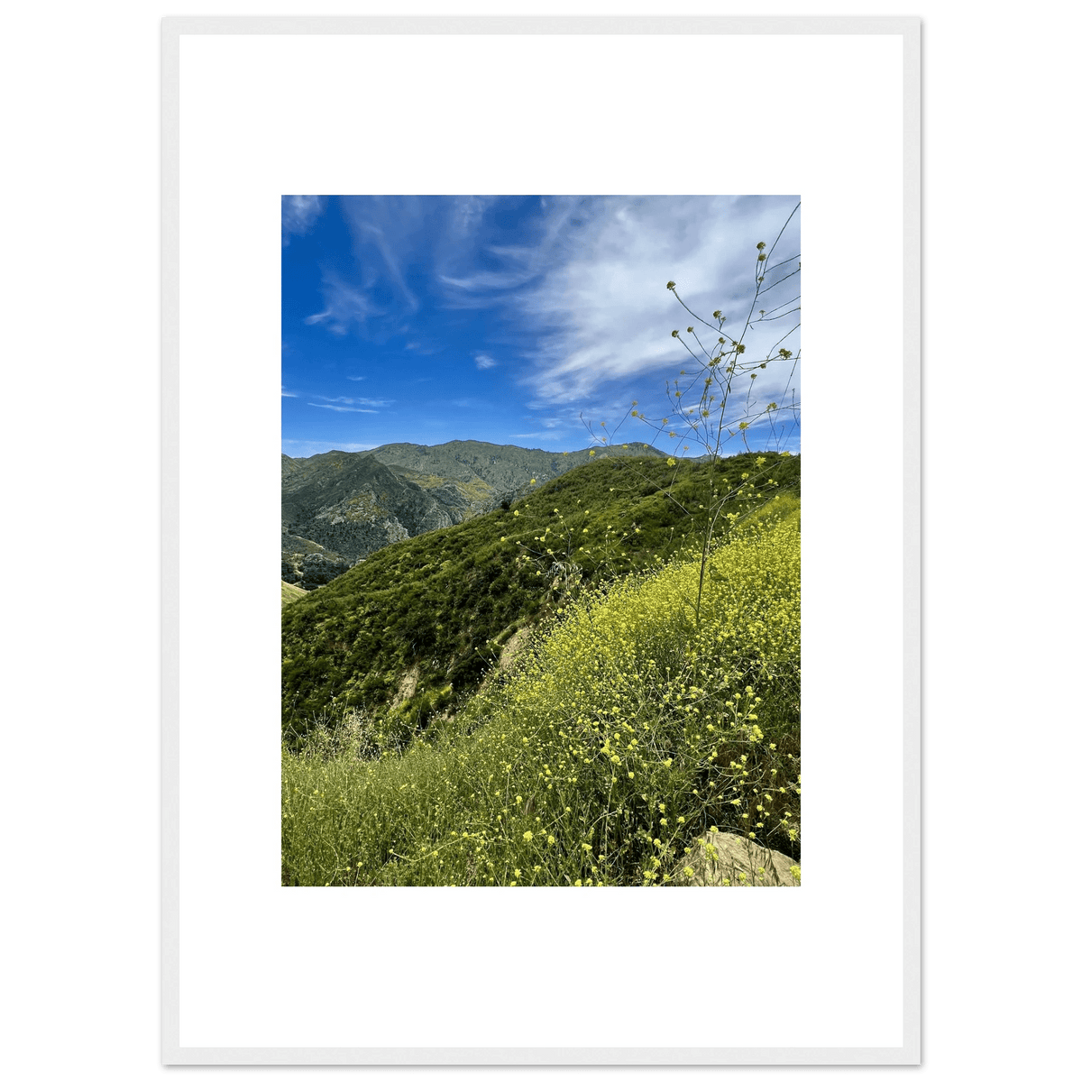 Framed Poster - Magical Malibu Canyon in Spring Bloom Wildflowers II – High - Quality Art Print - CaliCuration