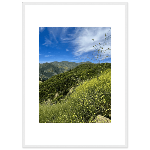 Framed Poster - Magical Malibu Canyon in Spring Bloom Wildflowers II – High - Quality Art Print - CaliCuration