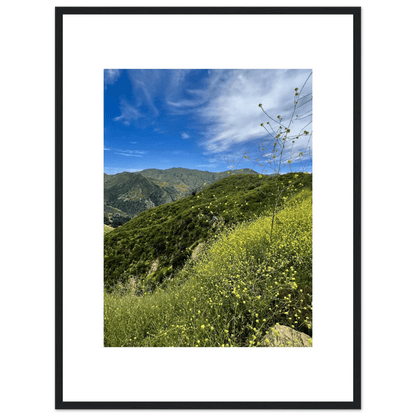 Framed Poster - Magical Malibu Canyon in Spring Bloom Wildflowers II – High - Quality Art Print - CaliCuration