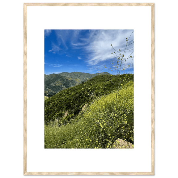 Framed Poster - Magical Malibu Canyon in Spring Bloom Wildflowers II – High - Quality Art Print - CaliCuration