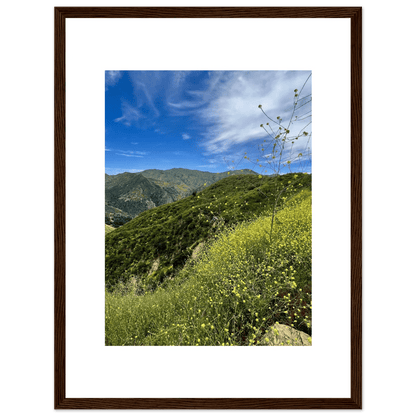 Framed Poster - Magical Malibu Canyon in Spring Bloom Wildflowers II – High - Quality Art Print - CaliCuration