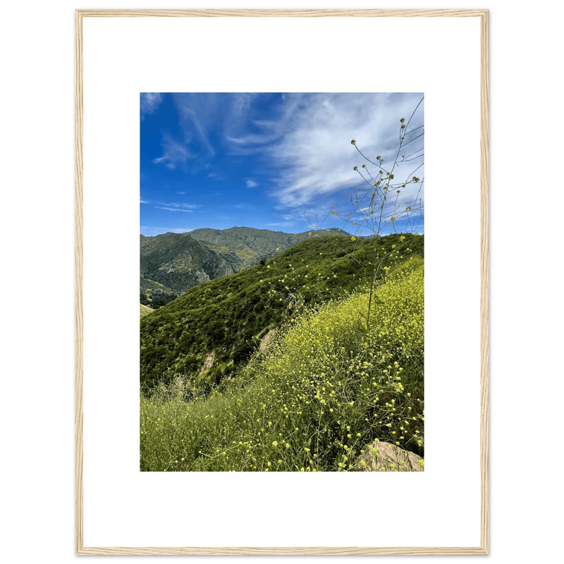 Framed Poster - Magical Malibu Canyon in Spring Bloom Wildflowers II – High - Quality Art Print - CaliCuration