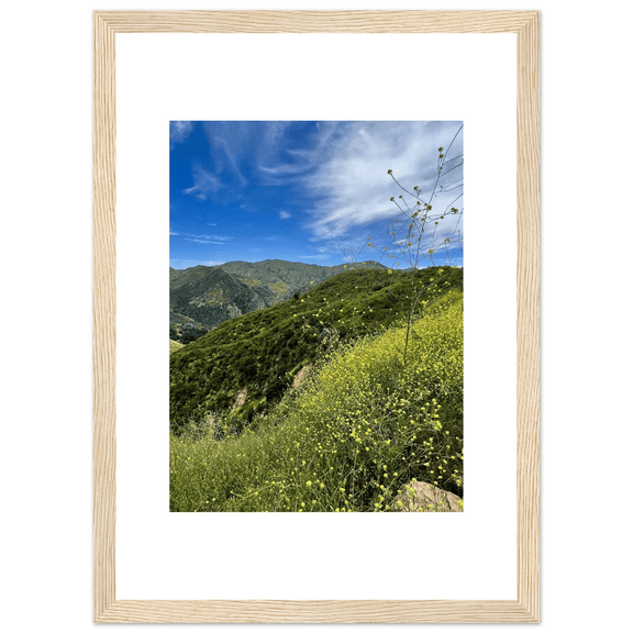 Framed Poster - Magical Malibu Canyon in Spring Bloom Wildflowers II – High - Quality Art Print - CaliCuration