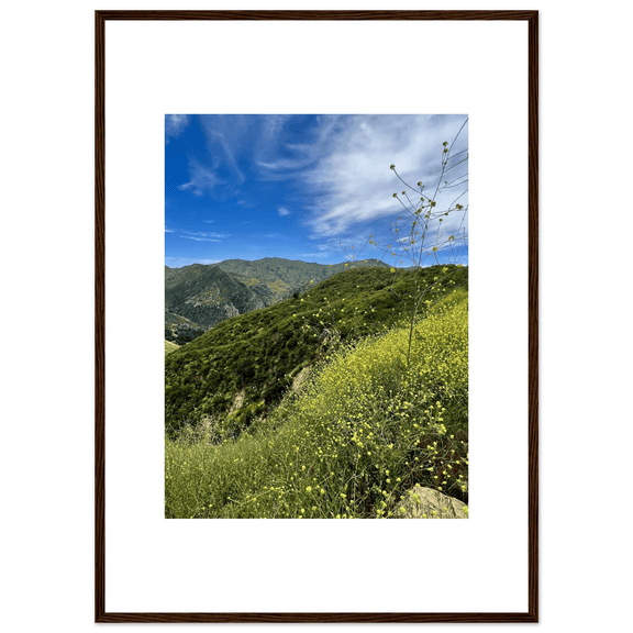 Framed Poster - Magical Malibu Canyon in Spring Bloom Wildflowers II – High - Quality Art Print - CaliCuration