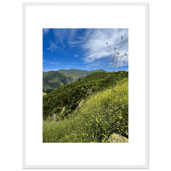 Framed Poster - Magical Malibu Canyon in Spring Bloom Wildflowers II – High - Quality Art Print - CaliCuration