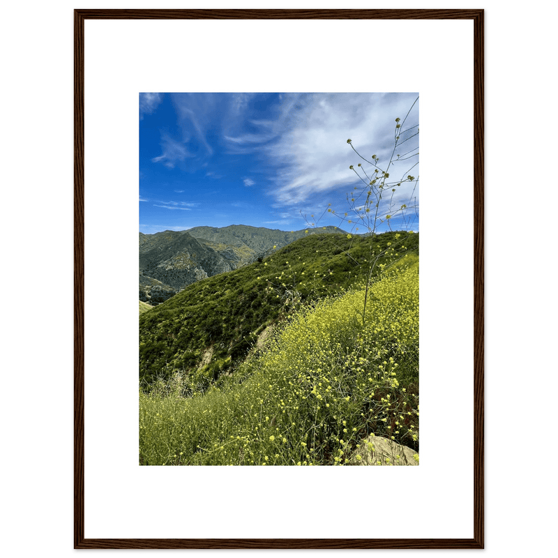 Framed Poster - Magical Malibu Canyon in Spring Bloom Wildflowers II – High - Quality Art Print - CaliCuration