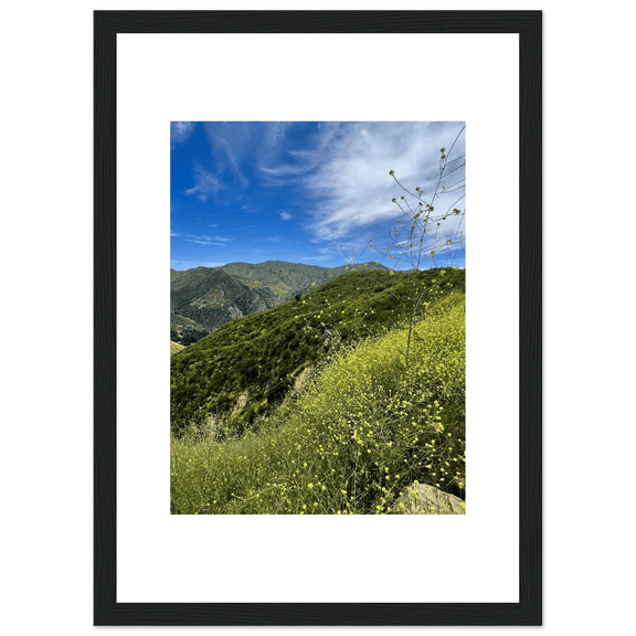 Framed Poster - Magical Malibu Canyon in Spring Bloom Wildflowers II – High - Quality Art Print - CaliCuration