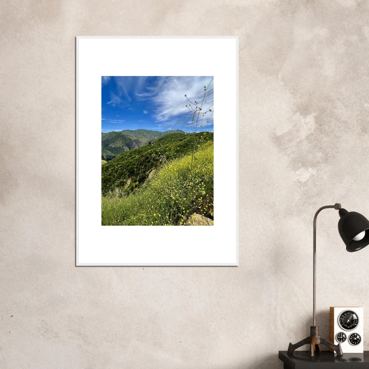 Framed Poster - Magical Malibu Canyon in Spring Bloom Wildflowers II – High - Quality Art Print - CaliCuration