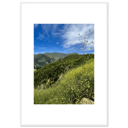 Framed Poster - Magical Malibu Canyon in Spring Bloom Wildflowers II – High - Quality Art Print - CaliCuration