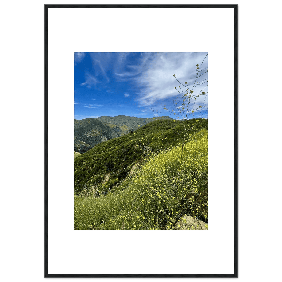 Framed Poster - Magical Malibu Canyon in Spring Bloom Wildflowers II – High - Quality Art Print - CaliCuration