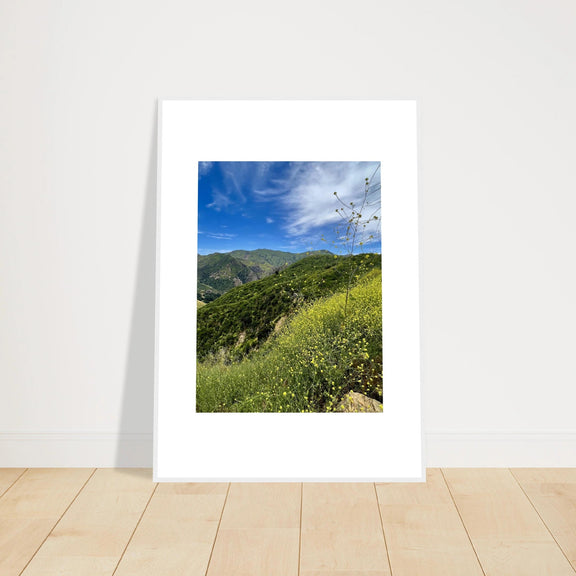 Framed Poster - Magical Malibu Canyon in Spring Bloom Wildflowers II – High - Quality Art Print - CaliCuration