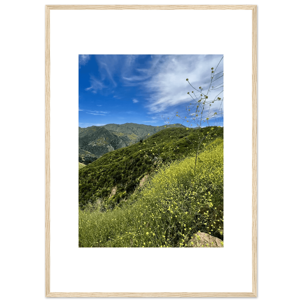 Framed Poster - Magical Malibu Canyon in Spring Bloom Wildflowers II – High - Quality Art Print - CaliCuration