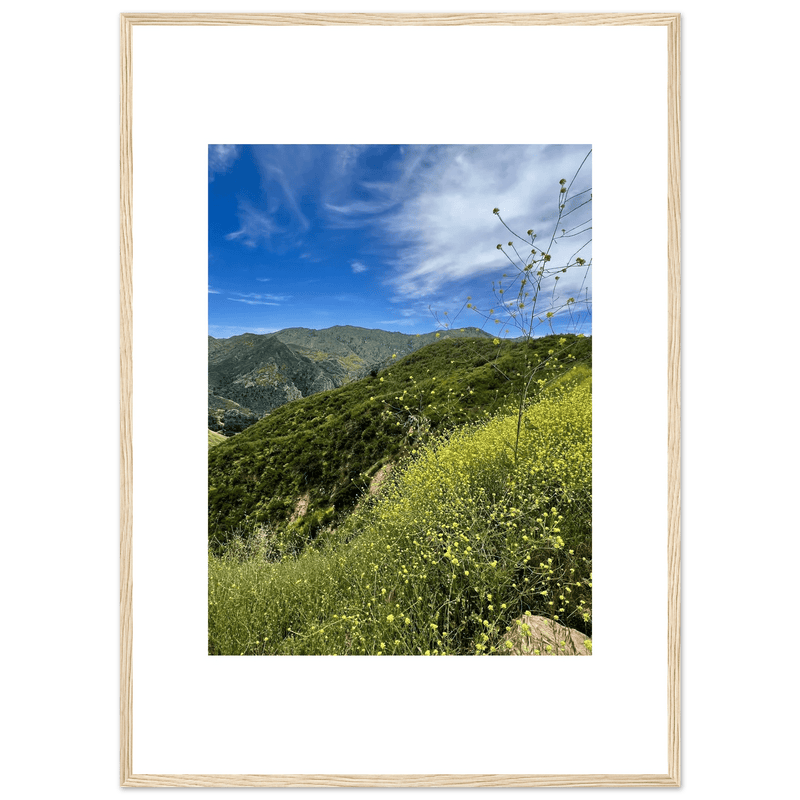 Framed Poster - Magical Malibu Canyon in Spring Bloom Wildflowers II – High - Quality Art Print - CaliCuration