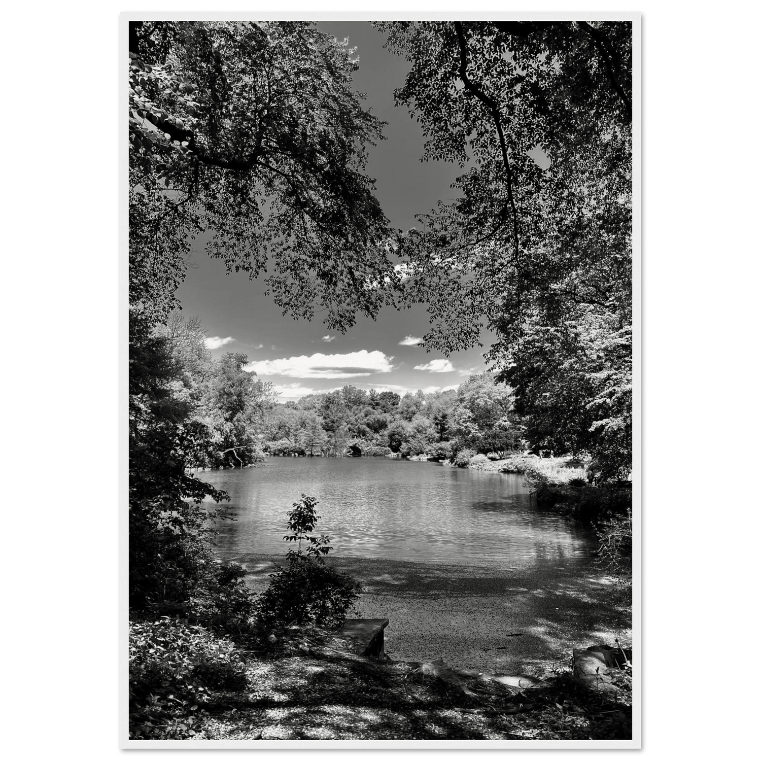 Framed Wooden B/W Poster of Central Park in a Summer Glow – Luxury Art for Any Space. Travel Collection - Studio Edition: Holiday 25 - CaliCuration