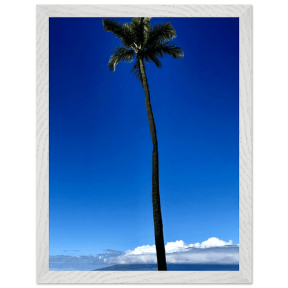 Hawaii Majestic Palm Tree Maui Mounted Framed Poster – Travel Collection Studio Edition Spring '26: Hawaii Edition - CaliCuration