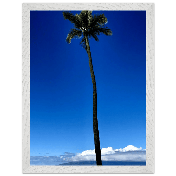 Hawaii Majestic Palm Tree Maui Mounted Framed Poster – Travel Collection Studio Edition Spring '26: Hawaii Edition - CaliCuration
