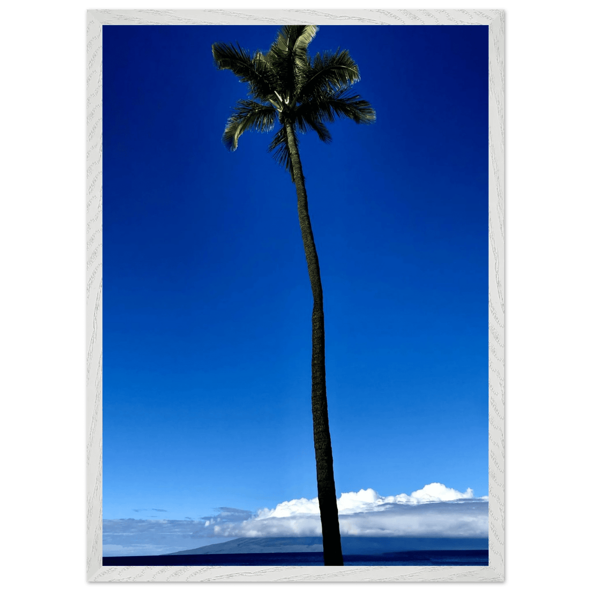 Hawaii Majestic Palm Tree Maui Mounted Framed Poster – Travel Collection Studio Edition Spring '26: Hawaii Edition - CaliCuration