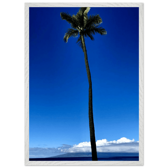 Hawaii Majestic Palm Tree Maui Mounted Framed Poster – Travel Collection Studio Edition Spring '26: Hawaii Edition - CaliCuration