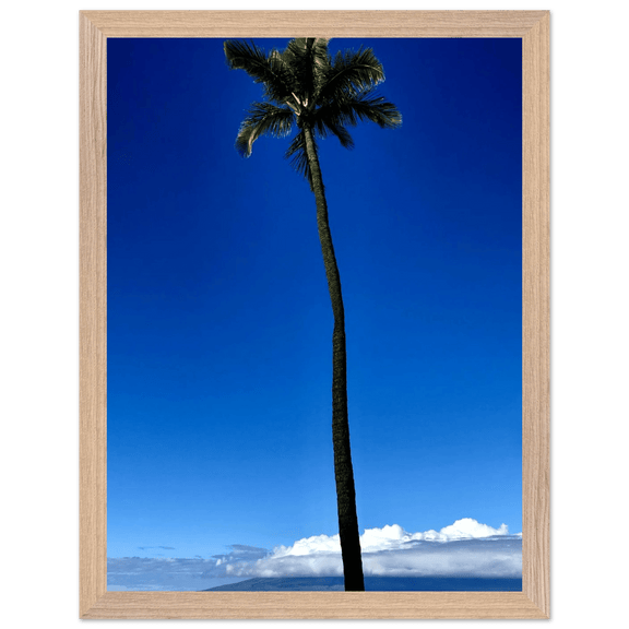 Hawaii Majestic Palm Tree Maui Mounted Framed Poster – Travel Collection Studio Edition Spring '26: Hawaii Edition - CaliCuration
