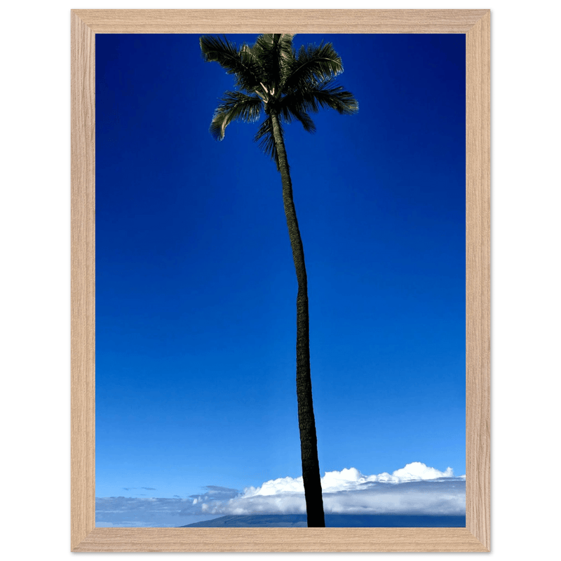 Hawaii Majestic Palm Tree Maui Mounted Framed Poster – Travel Collection Studio Edition Spring '26: Hawaii Edition - CaliCuration