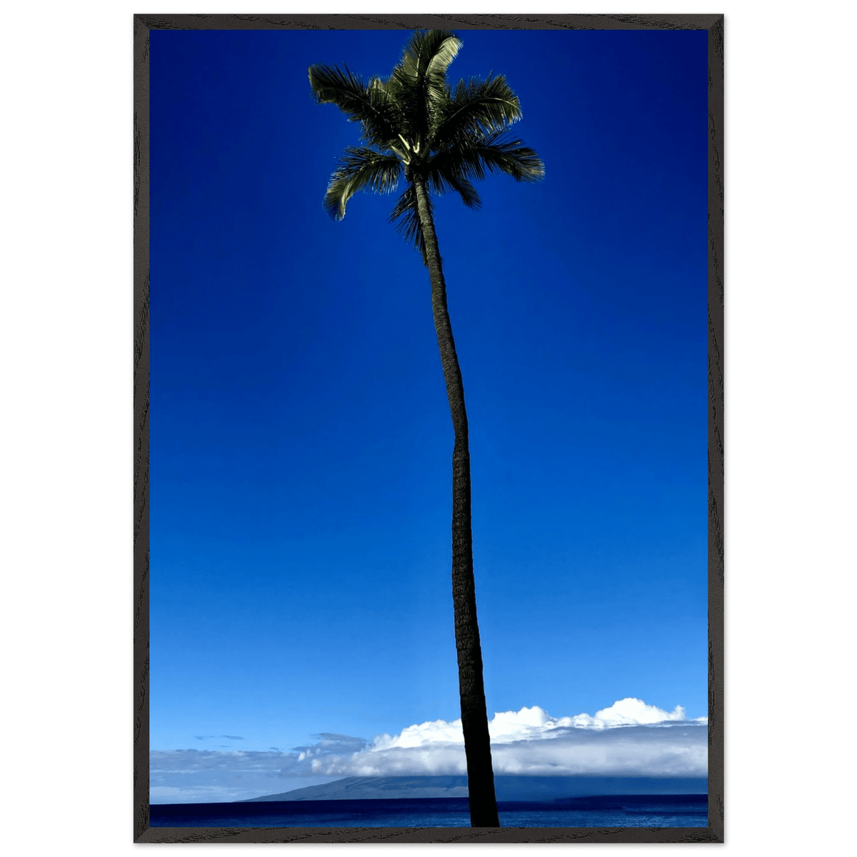 Hawaii Majestic Palm Tree Maui Mounted Framed Poster – Travel Collection Studio Edition Spring '26: Hawaii Edition - CaliCuration
