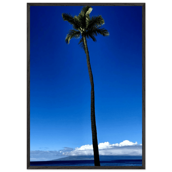 Hawaii Majestic Palm Tree Maui Mounted Framed Poster – Travel Collection Studio Edition Spring '26: Hawaii Edition - CaliCuration