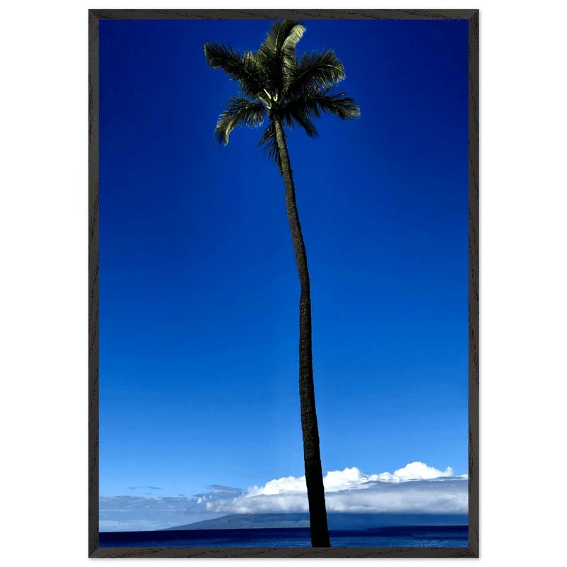 Hawaii Majestic Palm Tree Maui Mounted Framed Poster – Travel Collection Studio Edition Spring '26: Hawaii Edition - CaliCuration