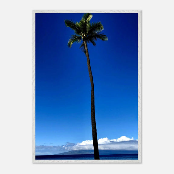 Hawaii Majestic Palm Tree Maui Mounted Framed Poster – Travel Collection Studio Edition Spring '26: Hawaii Edition - CaliCuration