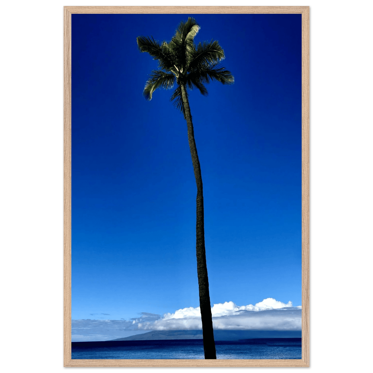 Hawaii Majestic Palm Tree Maui Mounted Framed Poster – Travel Collection Studio Edition Spring '26: Hawaii Edition - CaliCuration