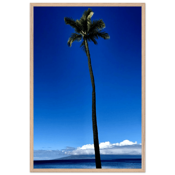 Hawaii Majestic Palm Tree Maui Mounted Framed Poster – Travel Collection Studio Edition Spring '26: Hawaii Edition - CaliCuration