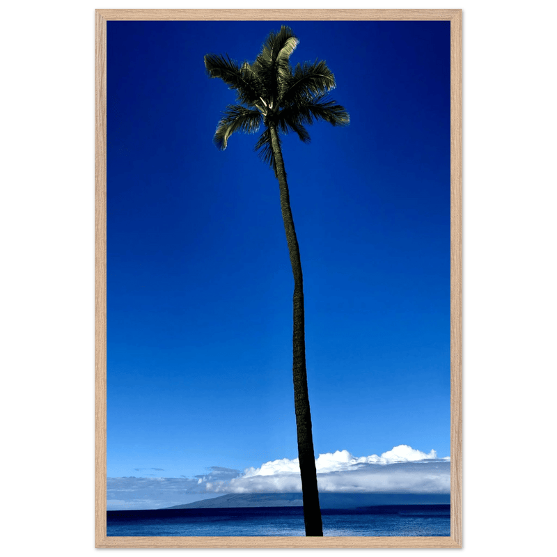 Hawaii Majestic Palm Tree Maui Mounted Framed Poster – Travel Collection Studio Edition Spring '26: Hawaii Edition - CaliCuration