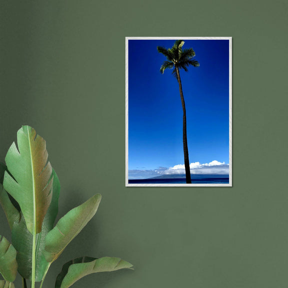 Hawaii Majestic Palm Tree Maui Mounted Framed Poster – Travel Collection Studio Edition Spring '26: Hawaii Edition - CaliCuration