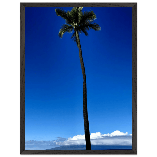 Hawaii Majestic Palm Tree Maui Mounted Framed Poster – Travel Collection Studio Edition Spring '26: Hawaii Edition - CaliCuration
