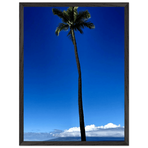 Hawaii Majestic Palm Tree Maui Mounted Framed Poster – Travel Collection Studio Edition Spring '26: Hawaii Edition - CaliCuration