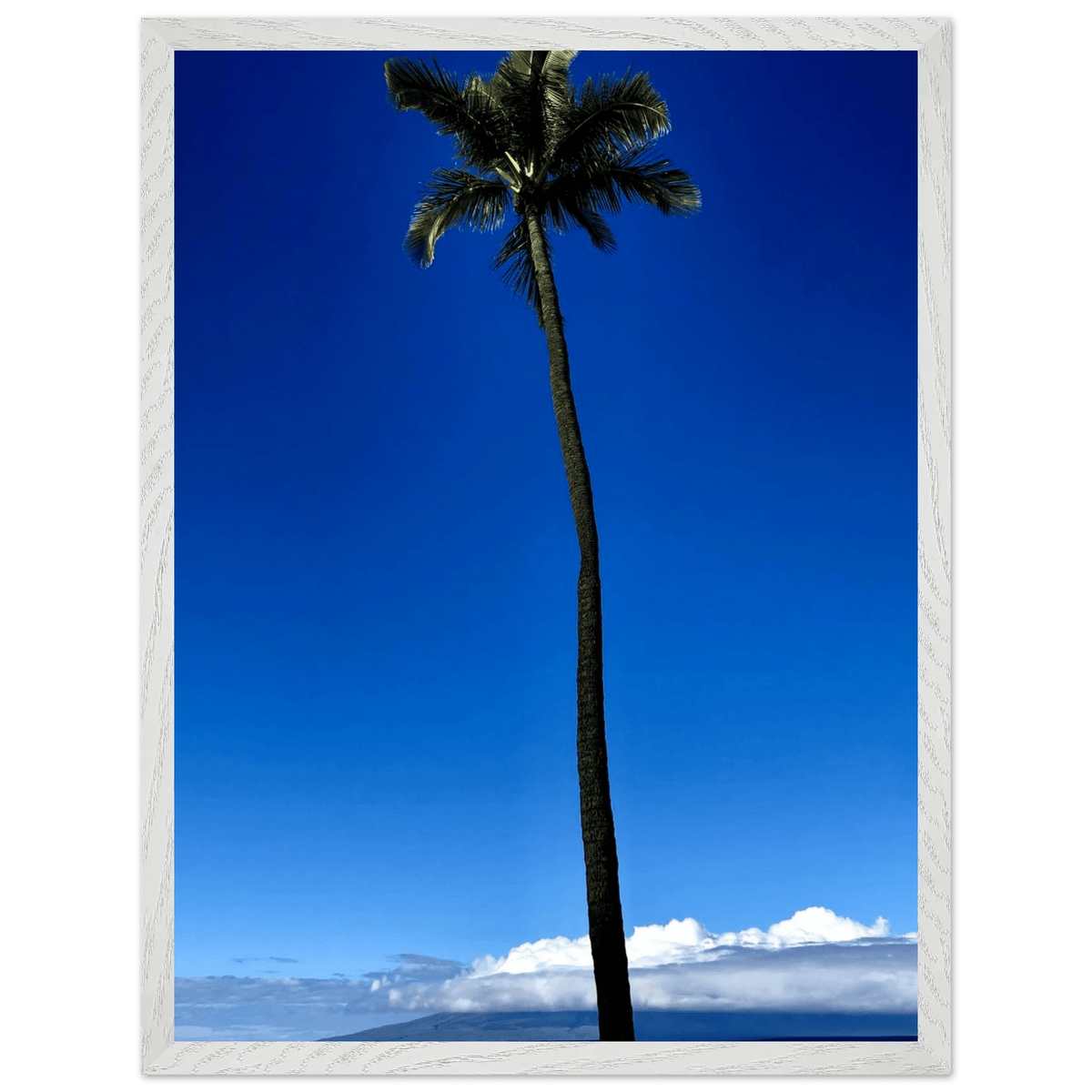 Hawaii Majestic Palm Tree Maui Mounted Framed Poster – Travel Collection Studio Edition Spring '26: Hawaii Edition - CaliCuration
