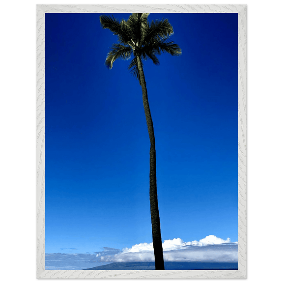 Hawaii Majestic Palm Tree Maui Mounted Framed Poster – Travel Collection Studio Edition Spring '26: Hawaii Edition - CaliCuration