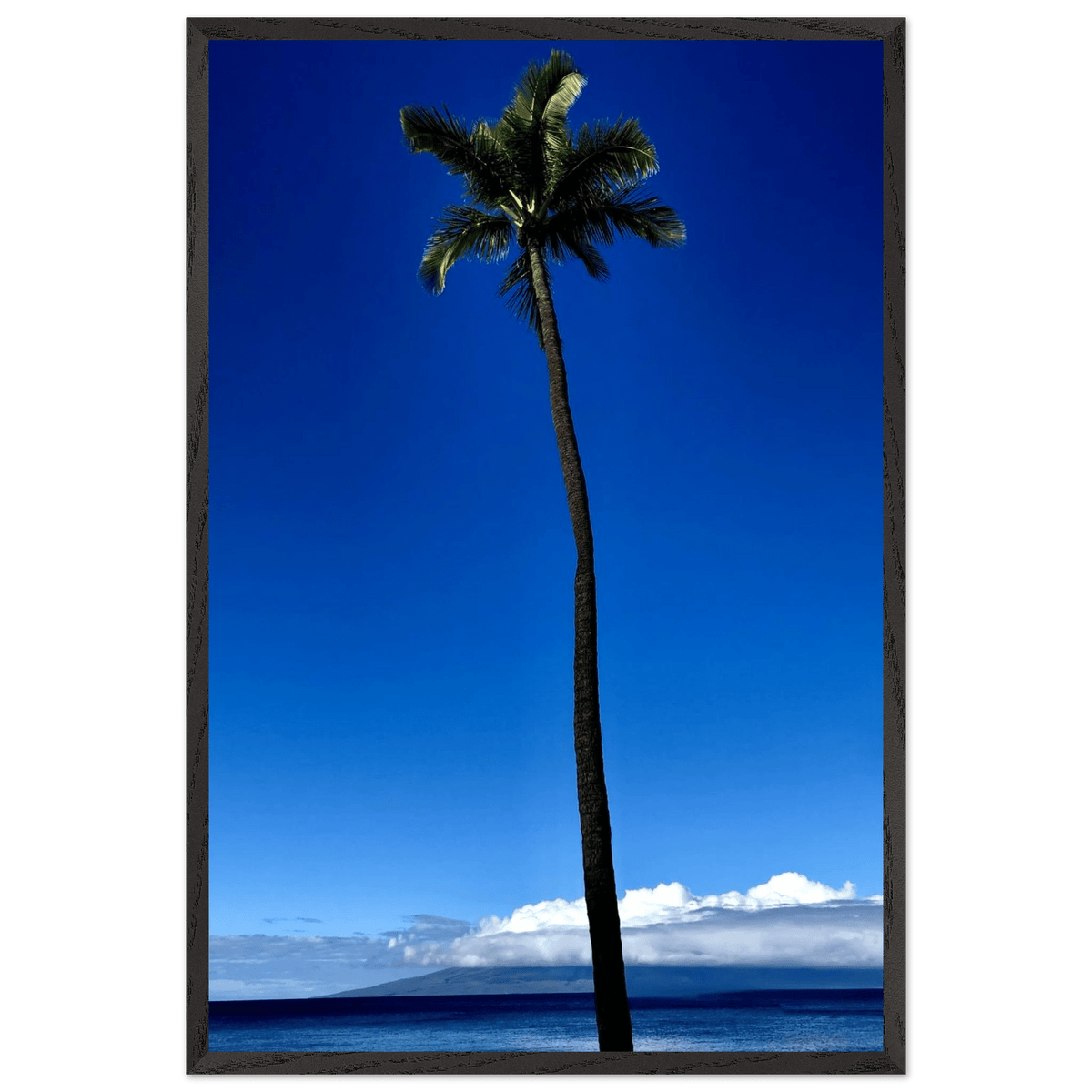 Hawaii Majestic Palm Tree Maui Mounted Framed Poster – Travel Collection Studio Edition Spring '26: Hawaii Edition - CaliCuration
