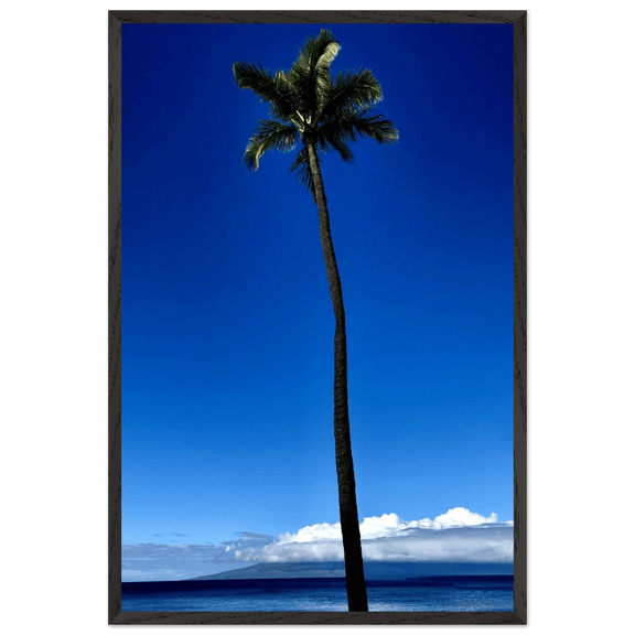 Hawaii Majestic Palm Tree Maui Mounted Framed Poster – Travel Collection Studio Edition Spring '26: Hawaii Edition - CaliCuration