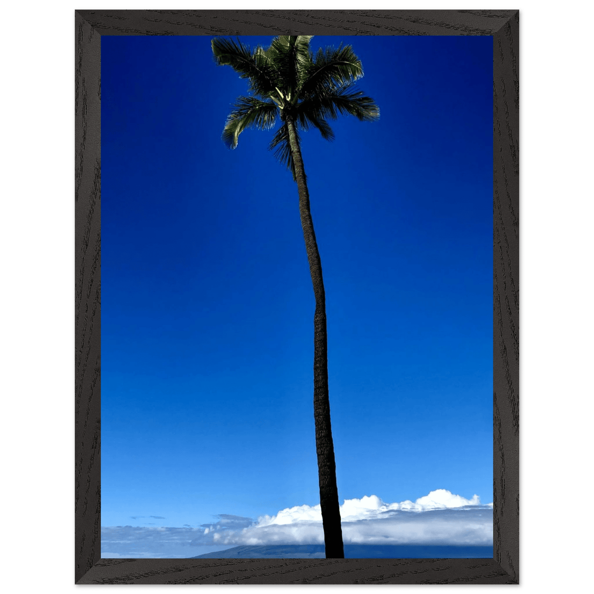 Hawaii Majestic Palm Tree Maui Mounted Framed Poster – Travel Collection Studio Edition Spring '26: Hawaii Edition - CaliCuration
