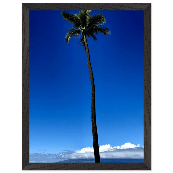 Hawaii Majestic Palm Tree Maui Mounted Framed Poster – Travel Collection Studio Edition Spring '26: Hawaii Edition - CaliCuration
