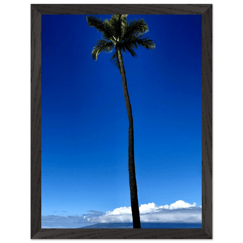 Hawaii Majestic Palm Tree Maui Mounted Framed Poster – Travel Collection Studio Edition Spring '26: Hawaii Edition - CaliCuration