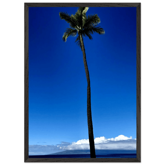 Hawaii Majestic Palm Tree Maui Mounted Framed Poster – Travel Collection Studio Edition Spring '26: Hawaii Edition - CaliCuration