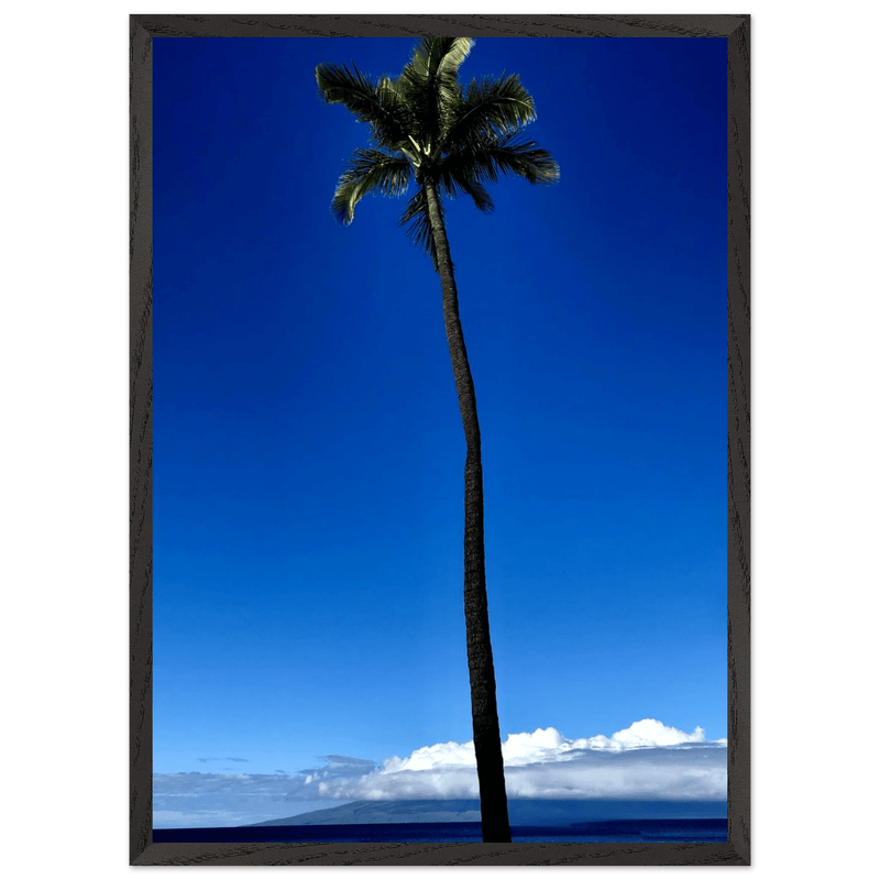 Hawaii Majestic Palm Tree Maui Mounted Framed Poster – Travel Collection Studio Edition Spring '26: Hawaii Edition - CaliCuration