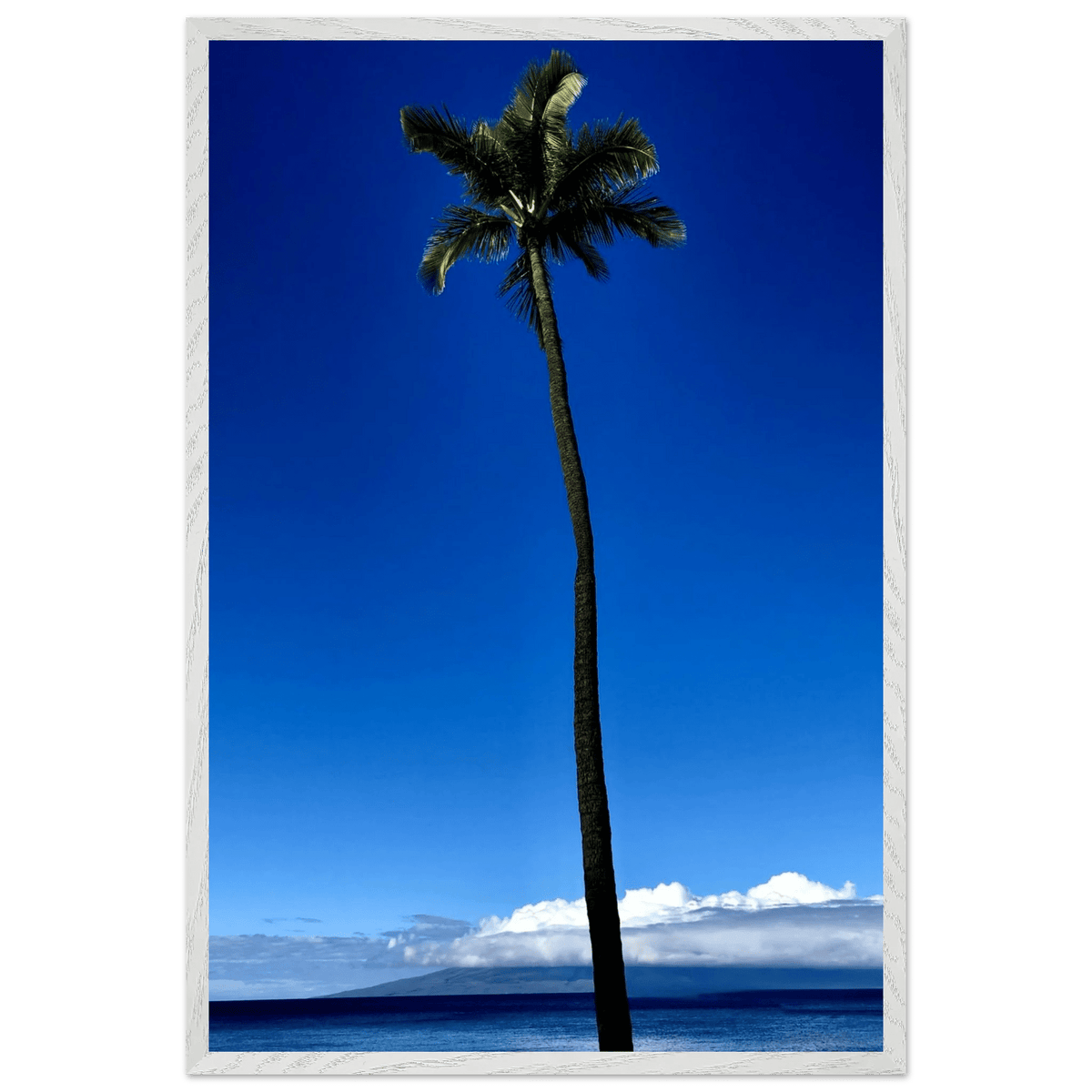 Hawaii Majestic Palm Tree Maui Mounted Framed Poster – Travel Collection Studio Edition Spring '26: Hawaii Edition - CaliCuration