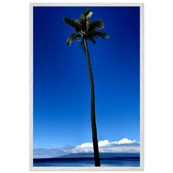 Hawaii Majestic Palm Tree Maui Mounted Framed Poster – Travel Collection Studio Edition Spring '26: Hawaii Edition - CaliCuration